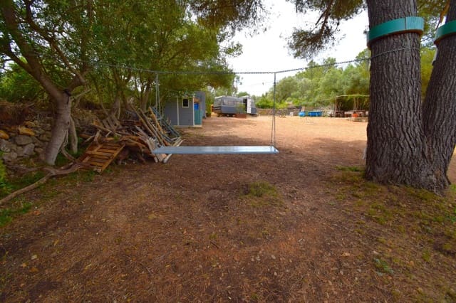 Terre non Aménagée à vendre à Petra - 75 000 € (Ref: 9904168)