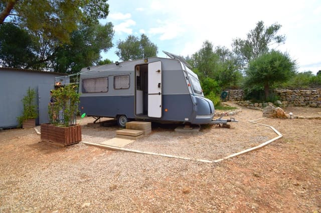 Terre non Aménagée à vendre à Petra - 75 000 € (Ref: 9904168)