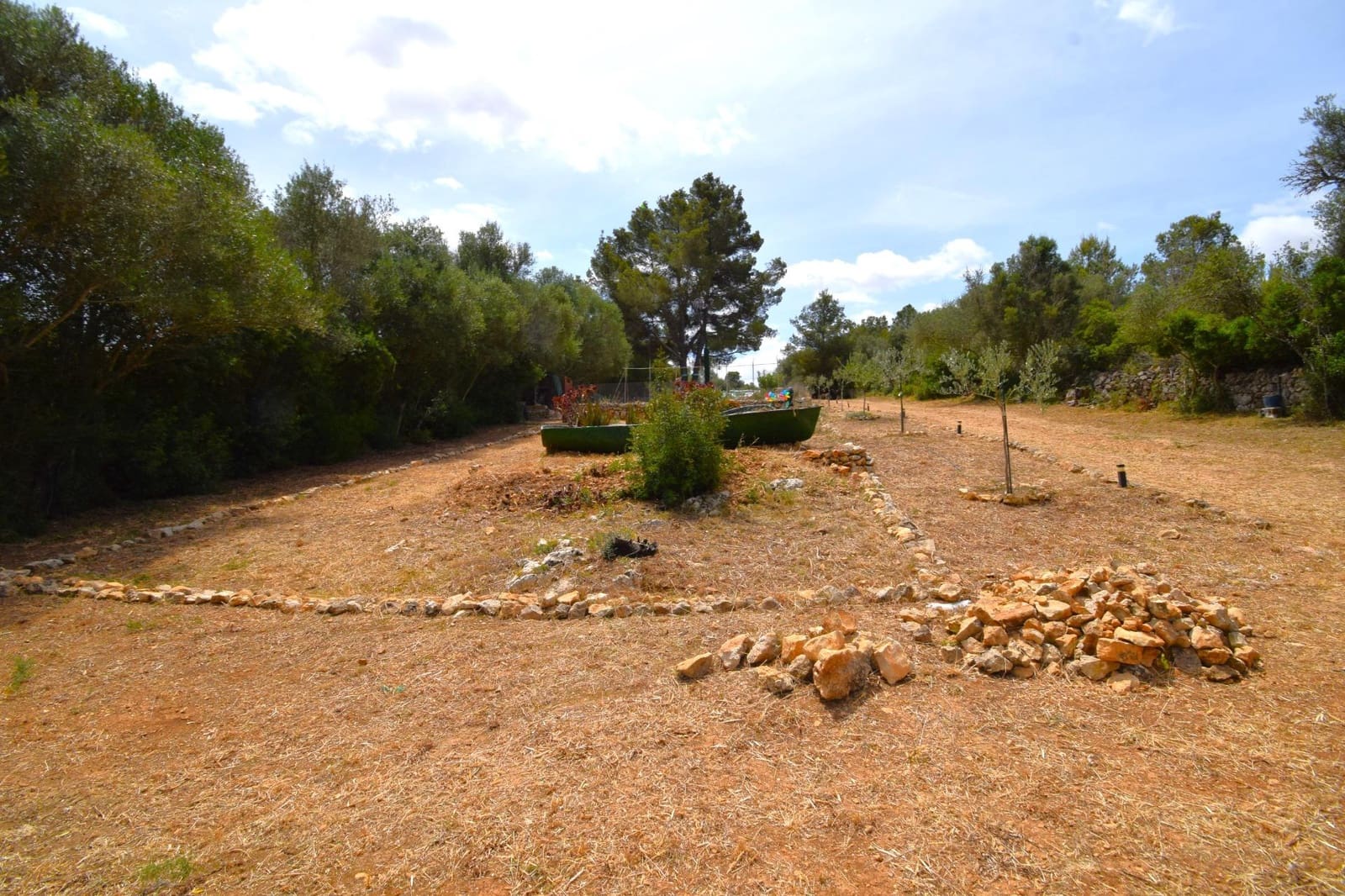 Terre non Aménagée à vendre à Petra - 75 000 € (Ref: 9904168)