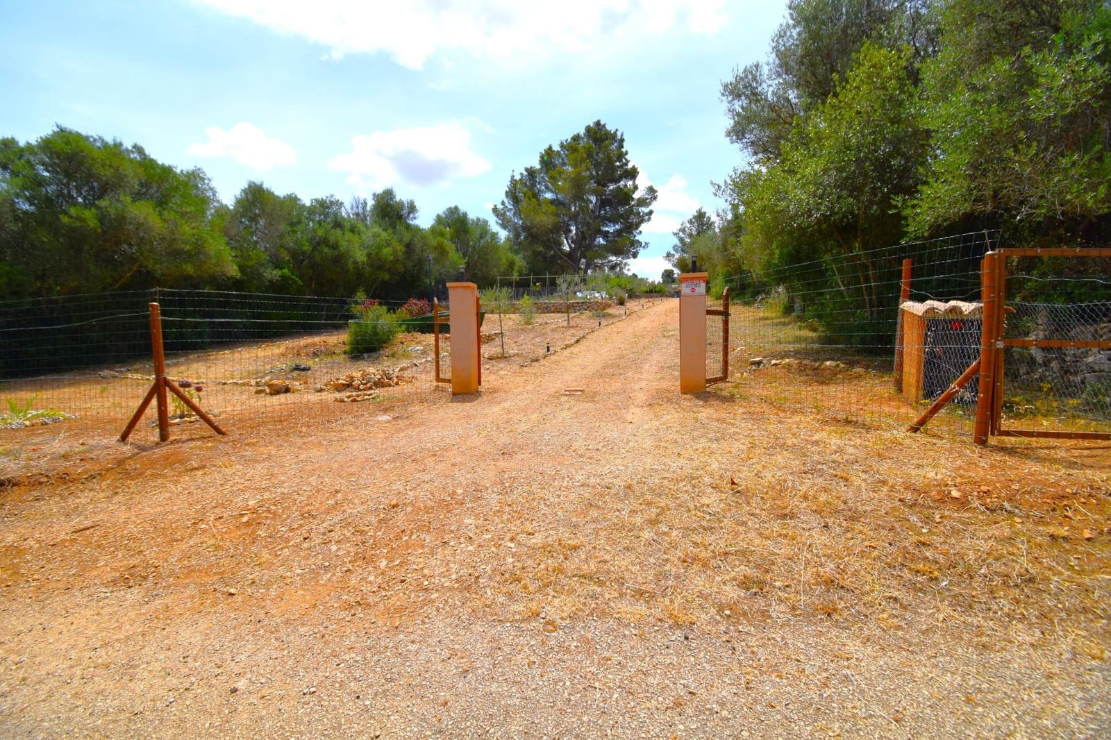 Terre non Aménagée à vendre à Petra - 75 000 € (Ref: 9904168)