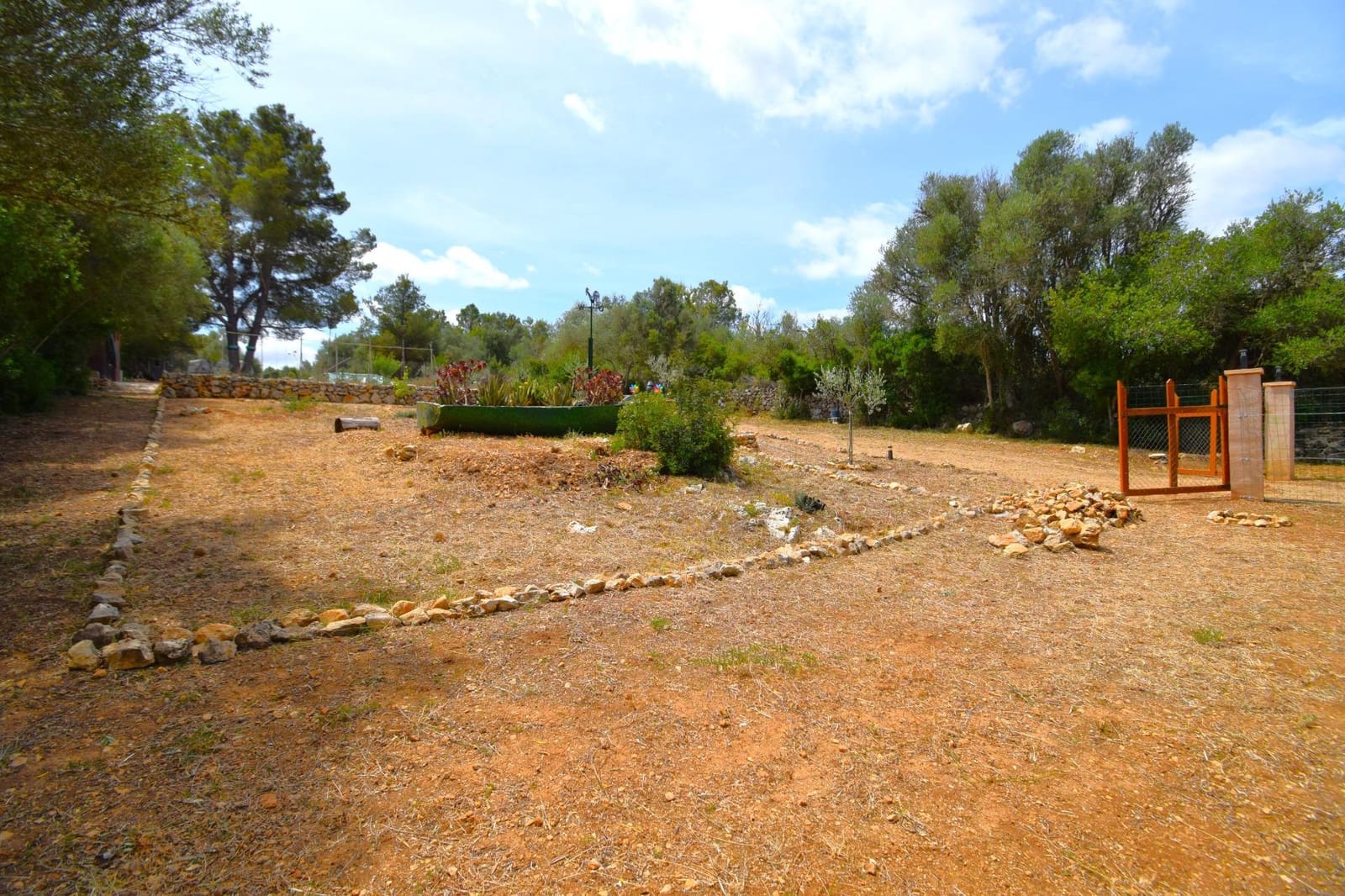 Terre non Aménagée à vendre à Petra - 75 000 € (Ref: 9904168)