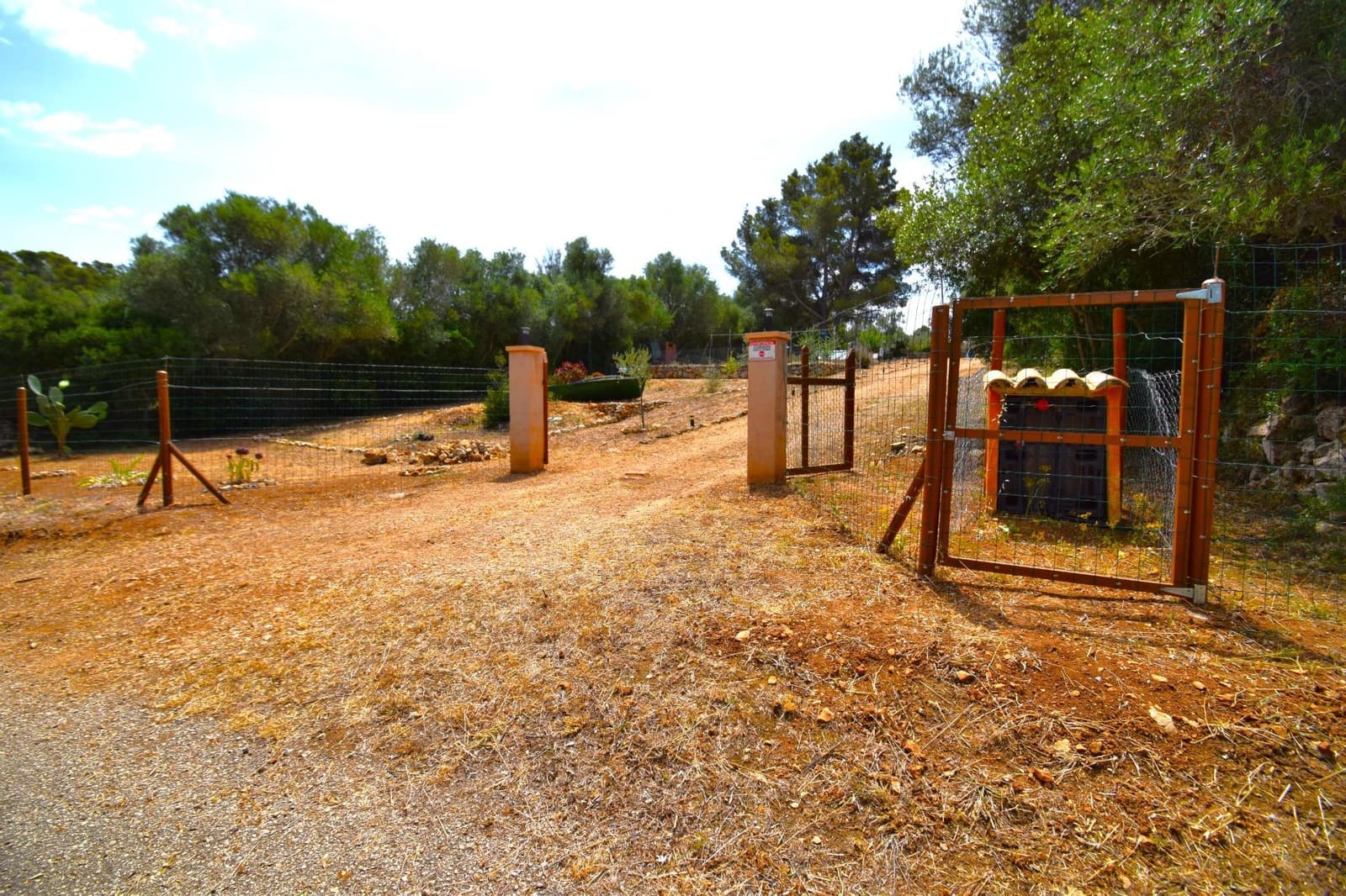 Terre non Aménagée à vendre à Petra - 75 000 € (Ref: 9904168)