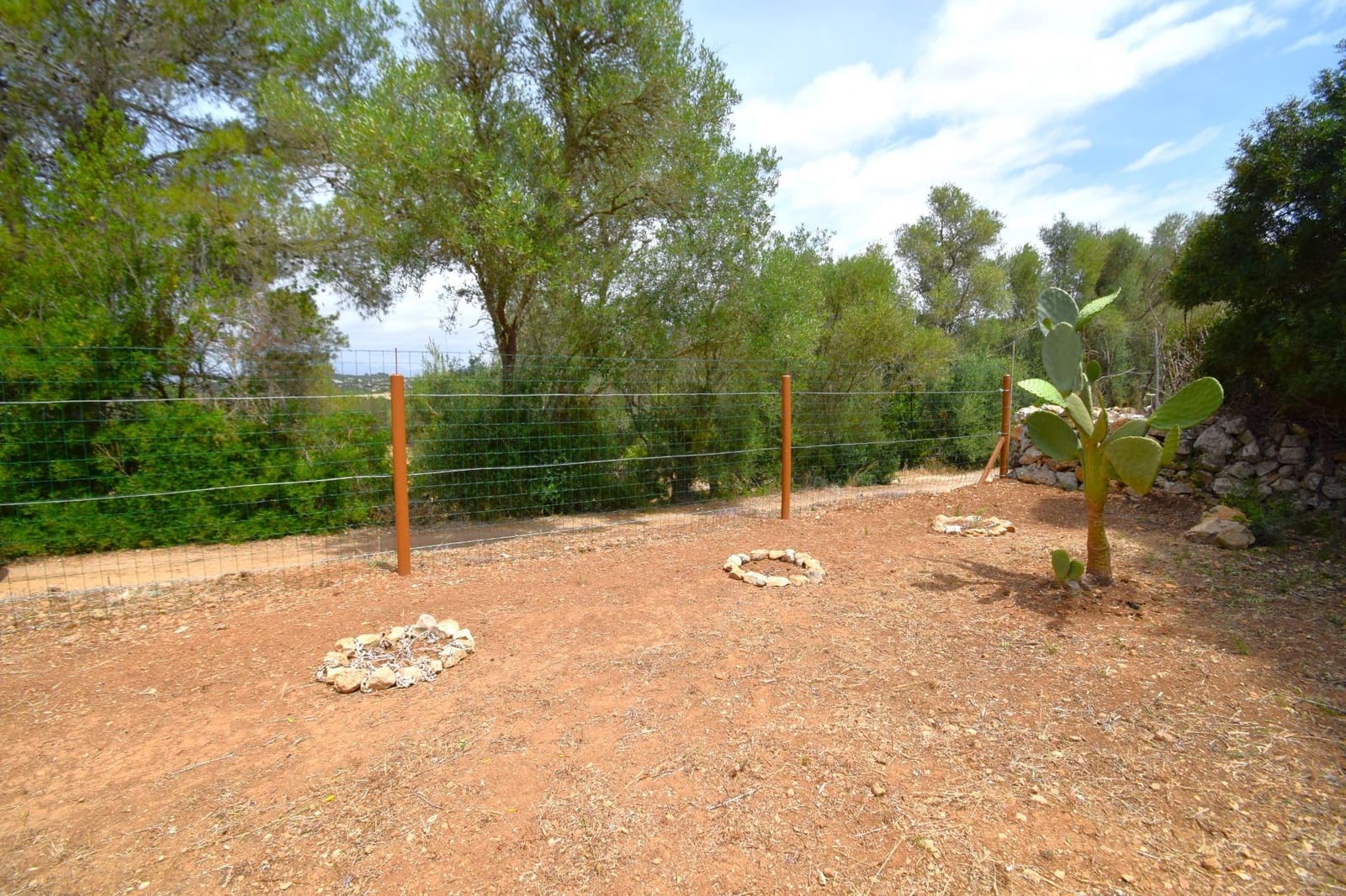 Terre non Aménagée à vendre à Petra - 75 000 € (Ref: 9904168)