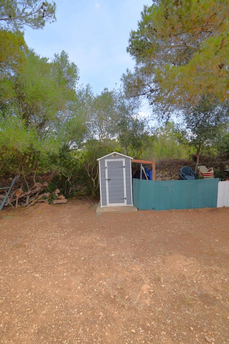 Terre non Aménagée à vendre à Petra - 75 000 € (Ref: 9904168)