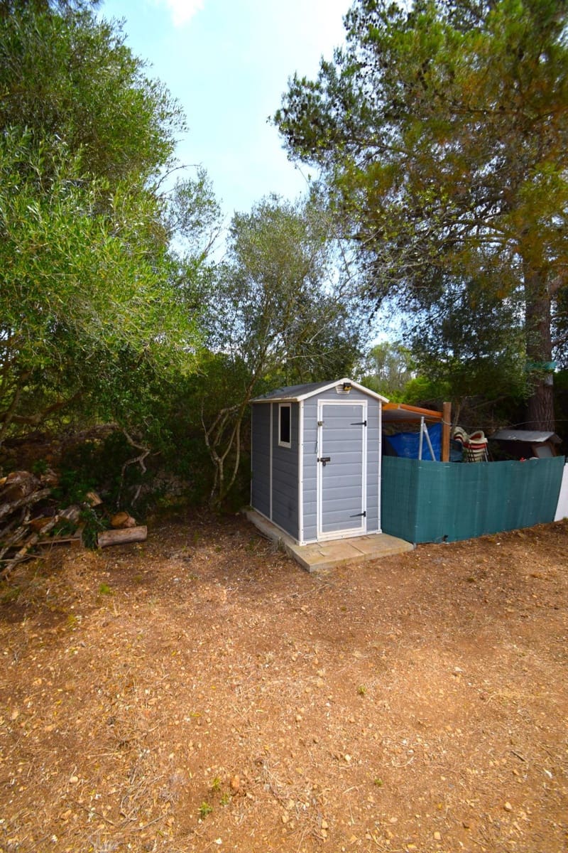 Terre non Aménagée à vendre à Petra - 75 000 € (Ref: 9904168)