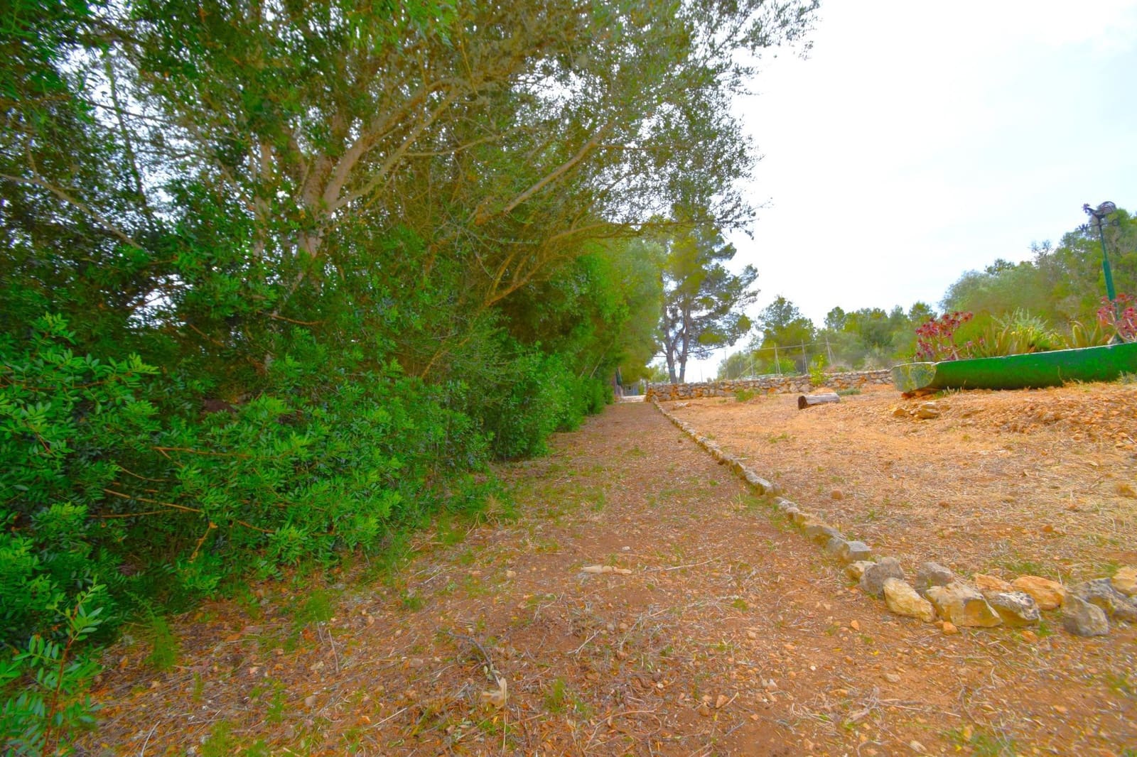 Terre non Aménagée à vendre à Petra - 75 000 € (Ref: 9904168)