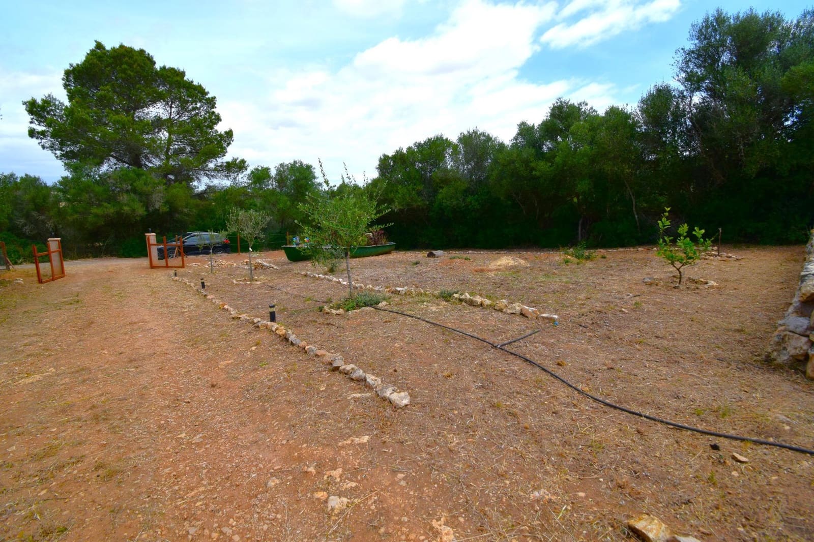Terre non Aménagée à vendre à Petra - 75 000 € (Ref: 9904168)