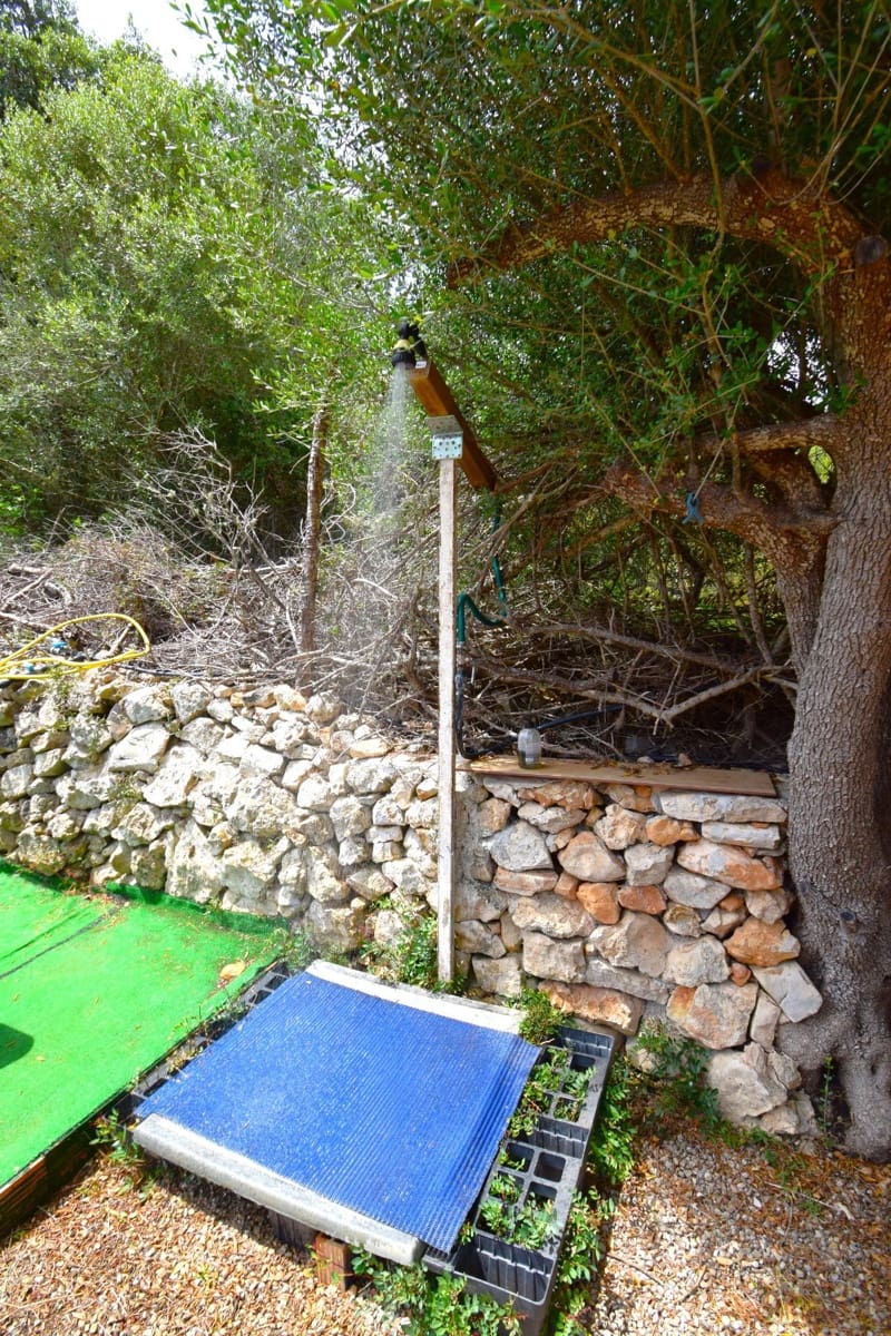Terre non Aménagée à vendre à Petra - 75 000 € (Ref: 9904168)