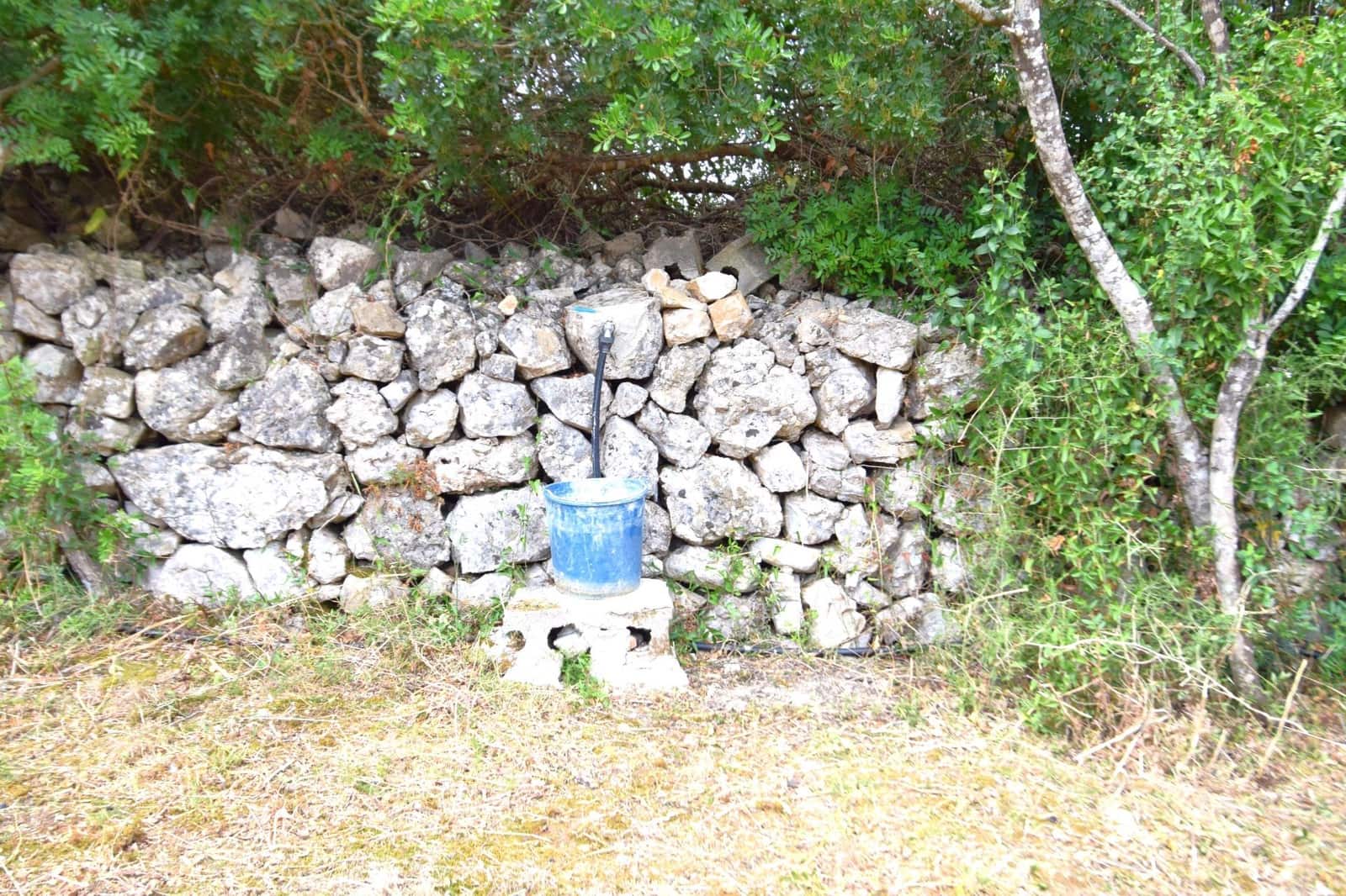 Terre non Aménagée à vendre à Petra - 75 000 € (Ref: 9904168)