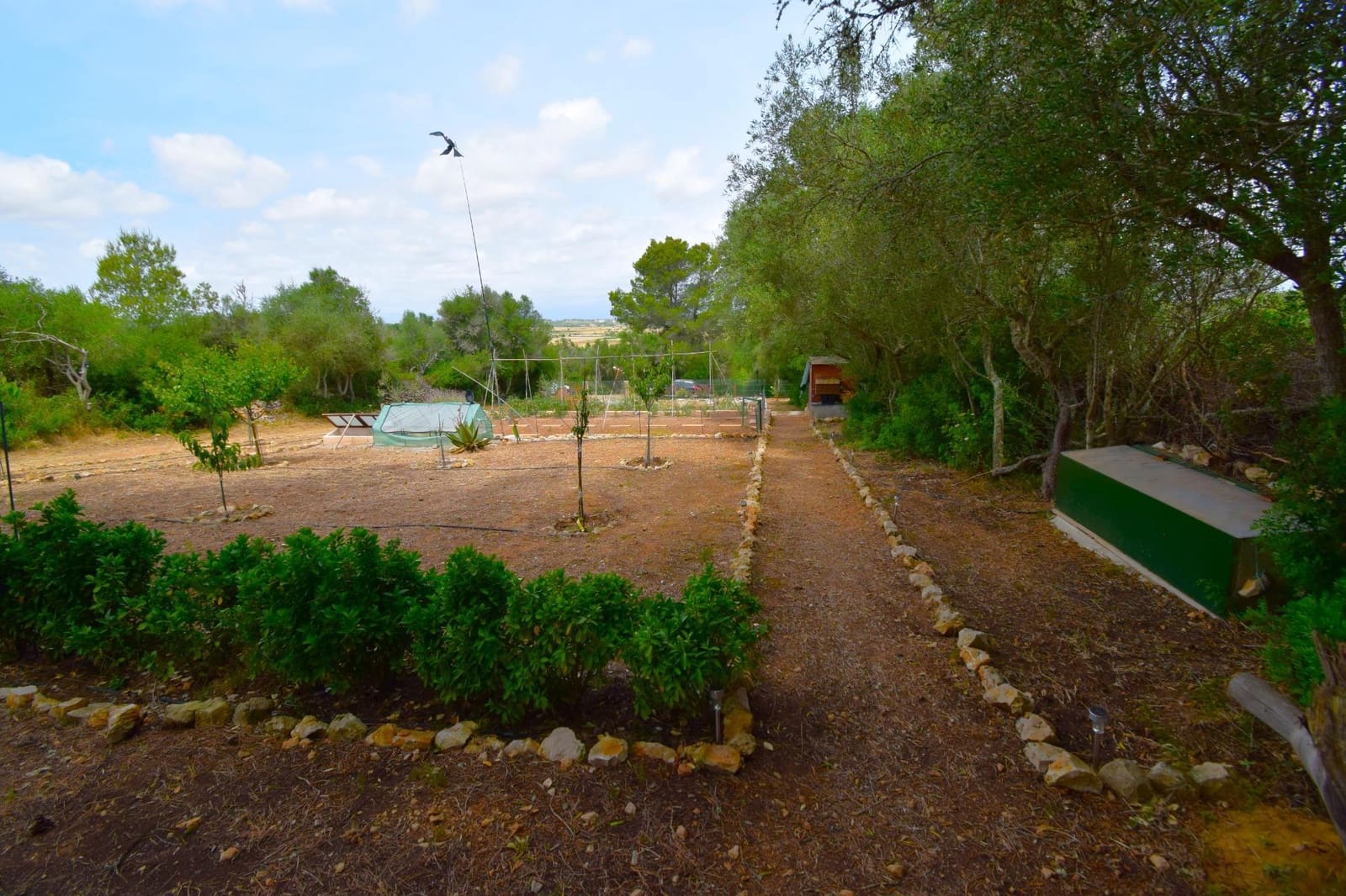 Terre non Aménagée à vendre à Petra - 75 000 € (Ref: 9904168)