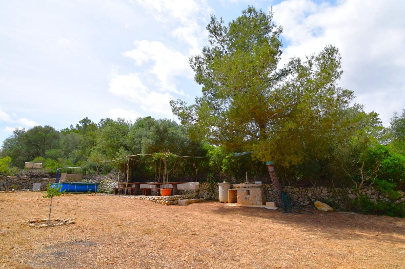 Terre non Aménagée à vendre à Petra - 75 000 € (Ref: 9904168)