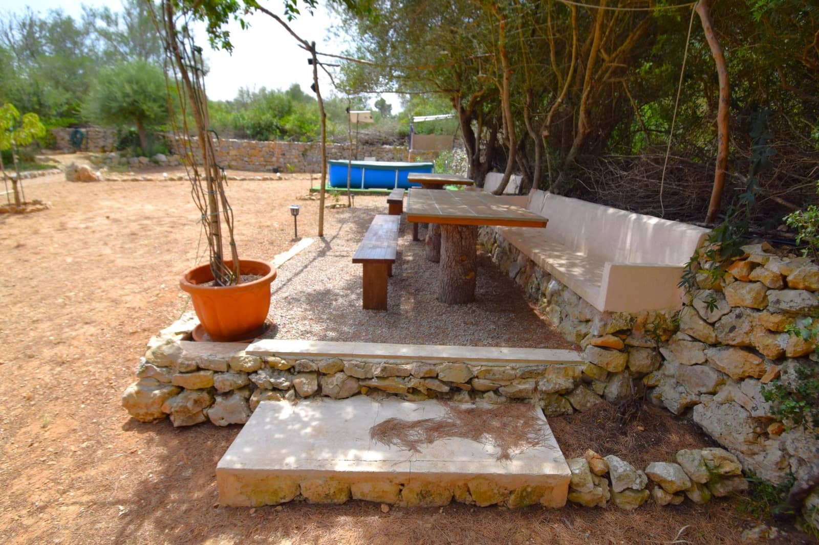 Terre non Aménagée à vendre à Petra - 75 000 € (Ref: 9904168)