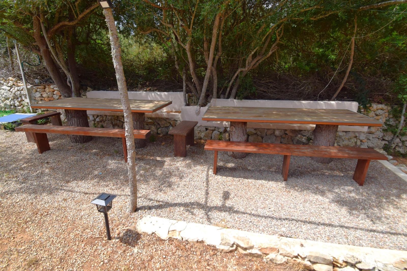 Terre non Aménagée à vendre à Petra - 75 000 € (Ref: 9904168)
