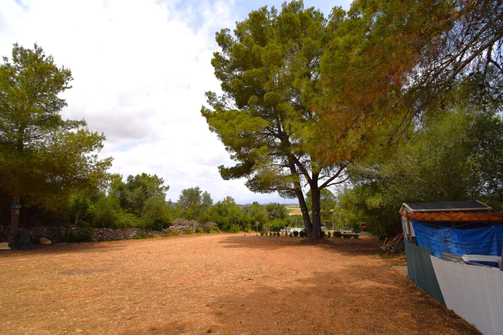 Terre non Aménagée à vendre à Petra - 75 000 € (Ref: 9904168)