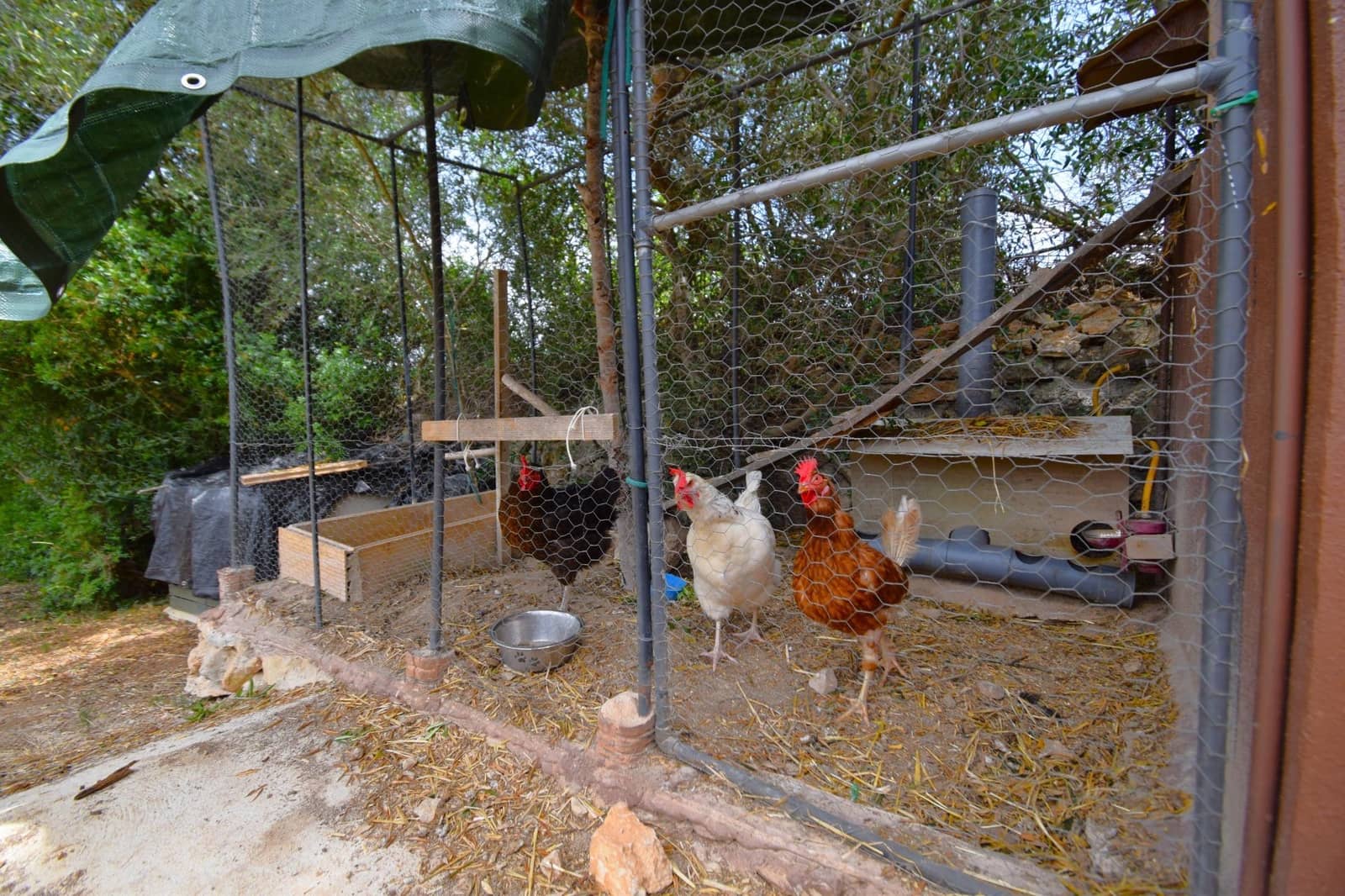 Terre non Aménagée à vendre à Petra - 75 000 € (Ref: 9904168)