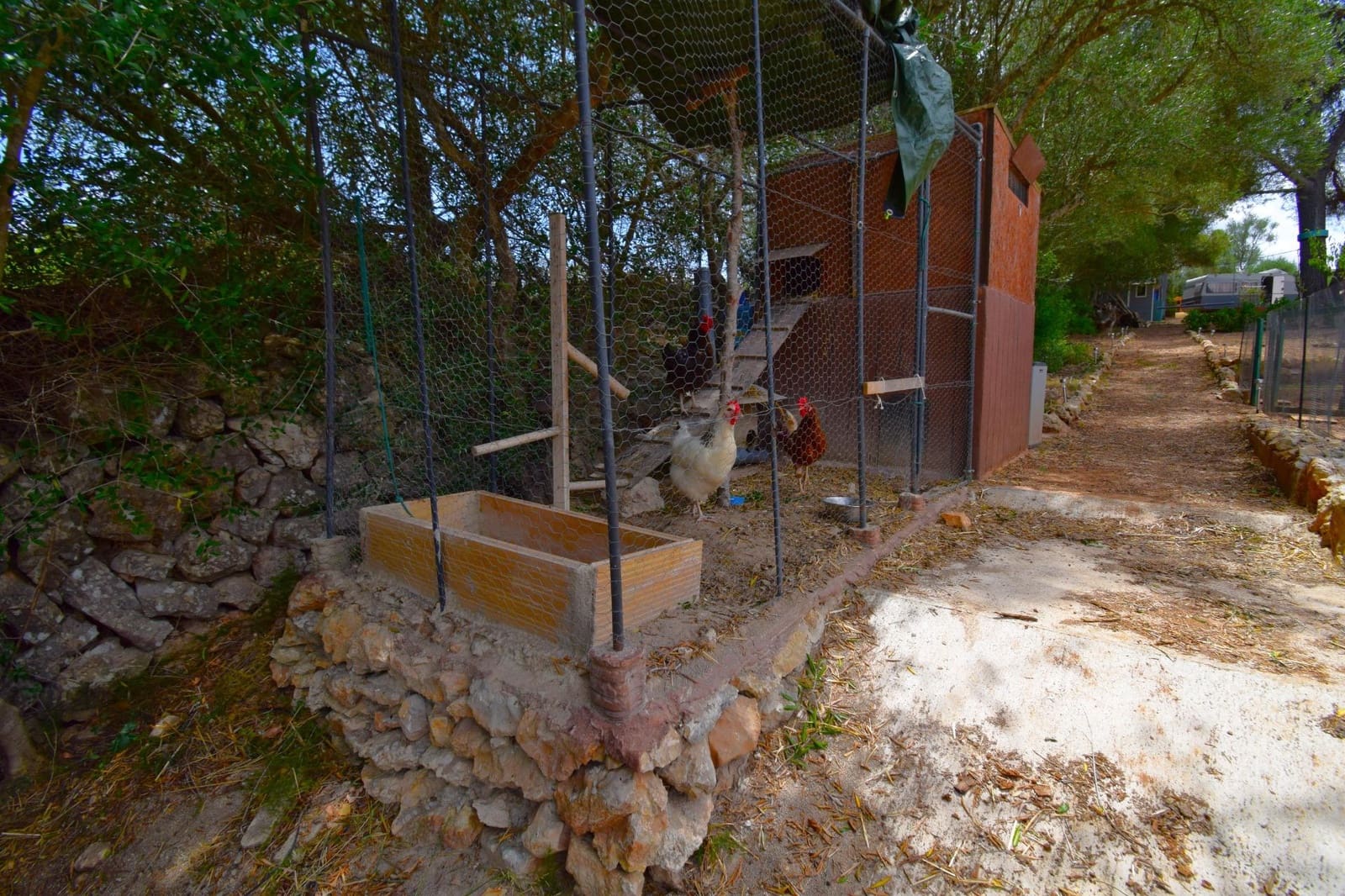 Terre non Aménagée à vendre à Petra - 75 000 € (Ref: 9904168)