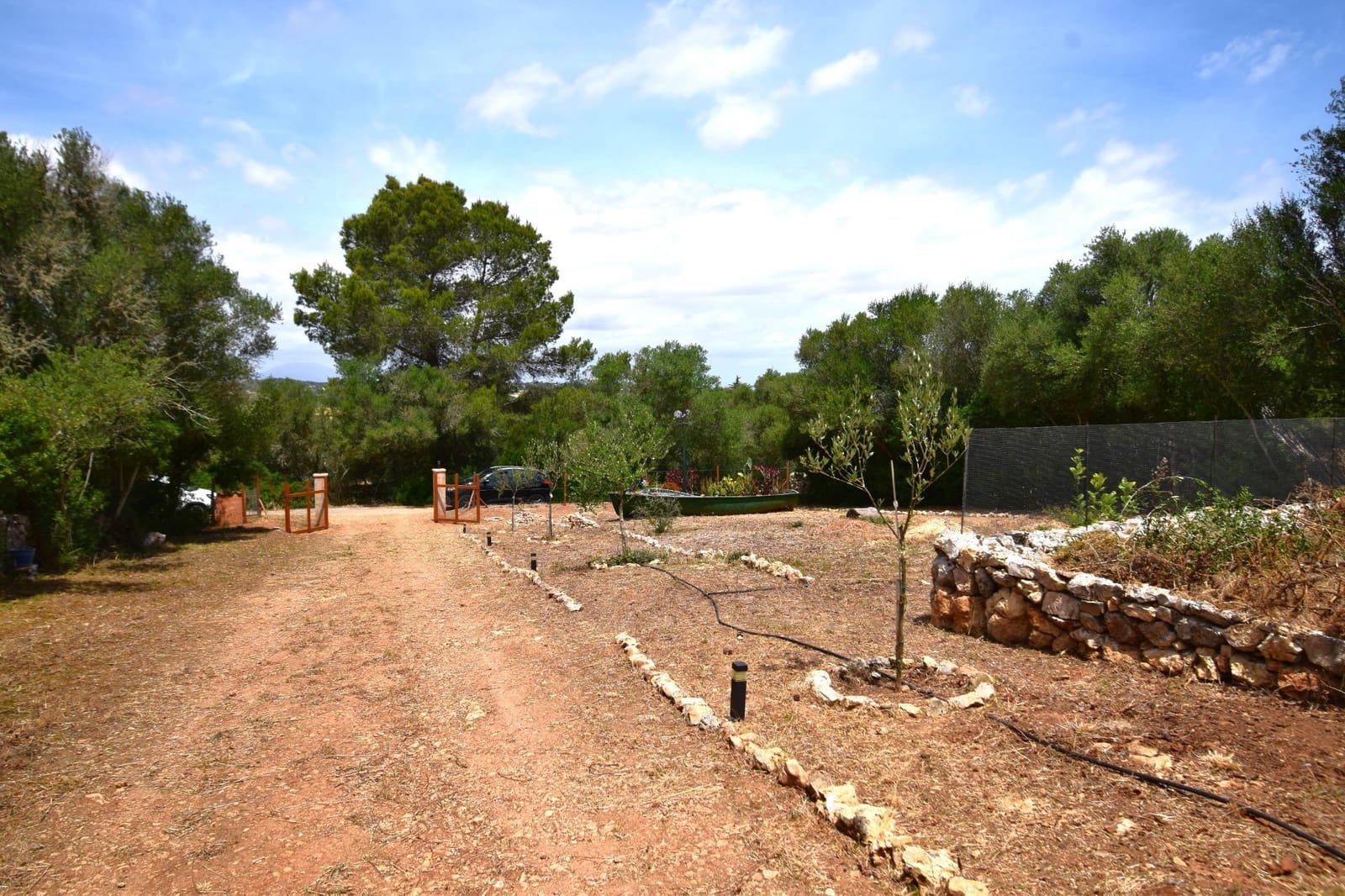 Terre non Aménagée à vendre à Petra - 75 000 € (Ref: 9904168)