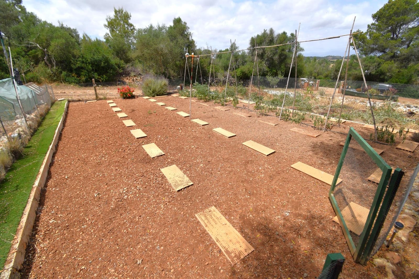 Terre non Aménagée à vendre à Petra - 75 000 € (Ref: 9904168)