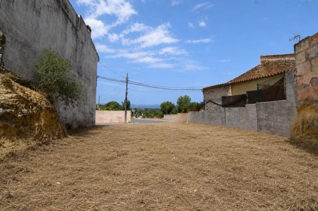Solar/Parcela en María de la Salud / María de la Salut en venta - 128.000 € (Ref: 9920614)