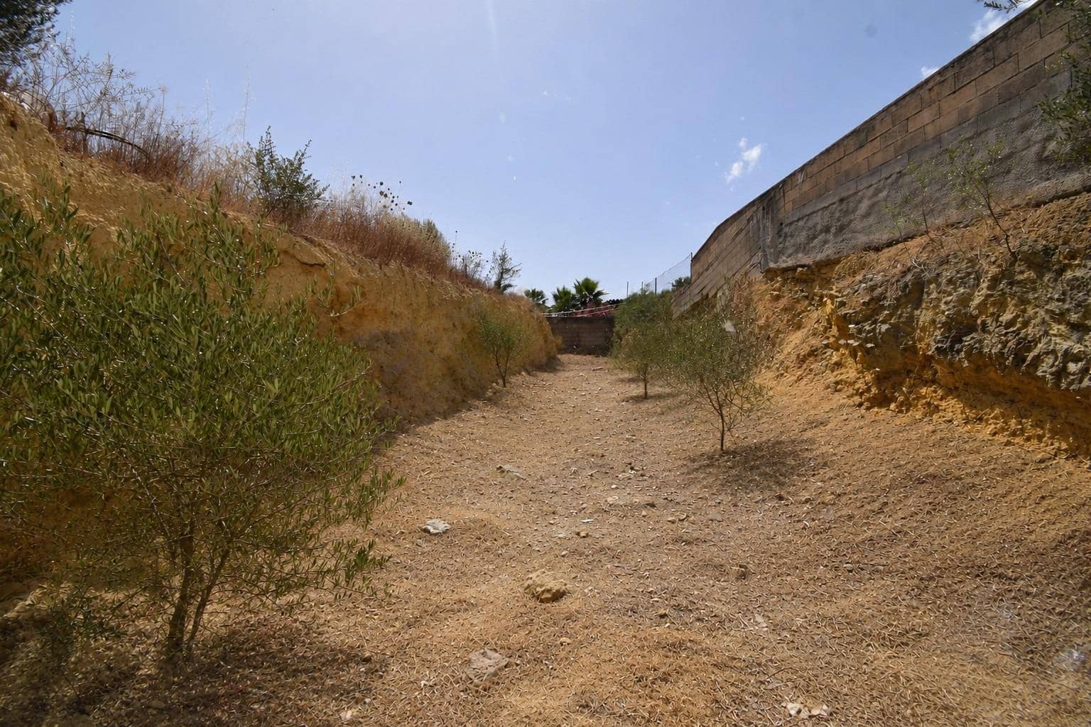 Building Plot for sale in Maria de la Salud / Maria de la Salut - € 128,000 (Ref: 9920614)