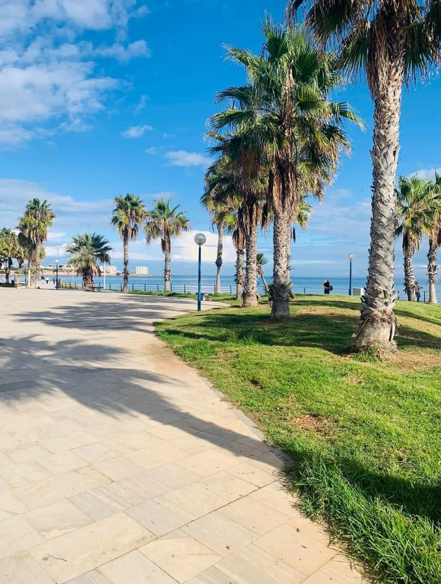 2 sovrum Lägenhet till salu i Playa Flamenca med pool garage - 199 900 € (Ref: 10070410)