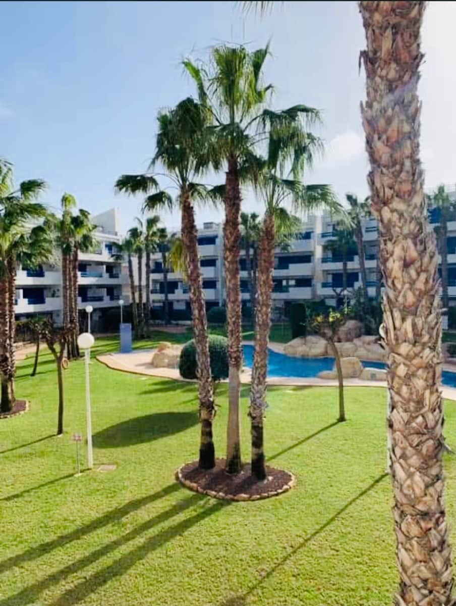 2 sovrum Lägenhet till salu i Playa Flamenca med pool garage - 199 990 € (Ref: 10070411)