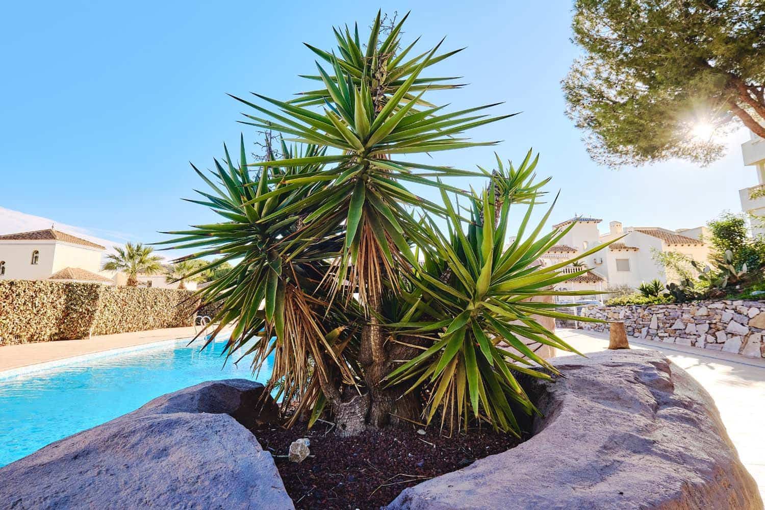 3 sovrum Semi-fristående Villa till salu i Las Ramblas Golf - 249 950 € (Ref: 9964012)