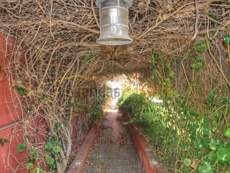 5 chambre Villa/Maison à vendre à Guargacho avec piscine - 1 044 000 € (Ref: 9591853)