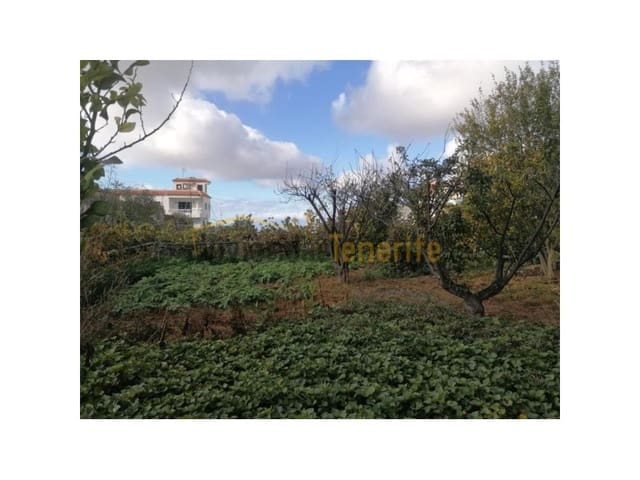 3 makuuhuone Maalaistalo myytävänä paikassa Playa San Juan, Guía de Isora - 140 000 € (Ref: 9591884)