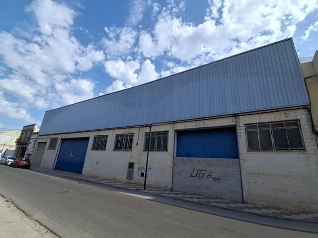 Business for sale in Algemesí - € 550,000 (Ref: 10017530)