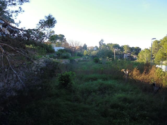 Solar/Parcela en Alzira en venta - 90.000 € (Ref: 6890887)