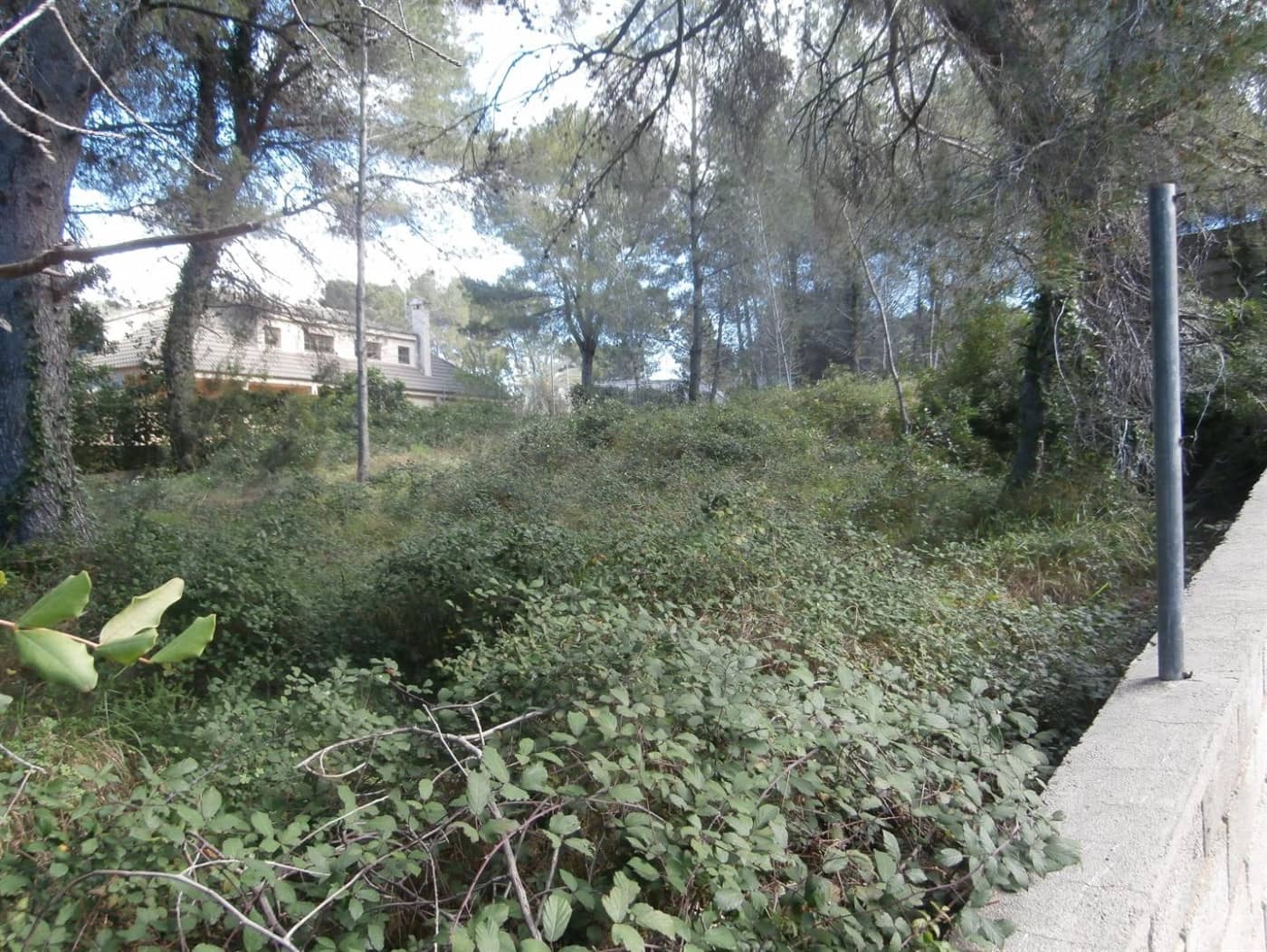 Ubebygd land til salgs i Alzira - € 45 000 (Ref: 6890924)