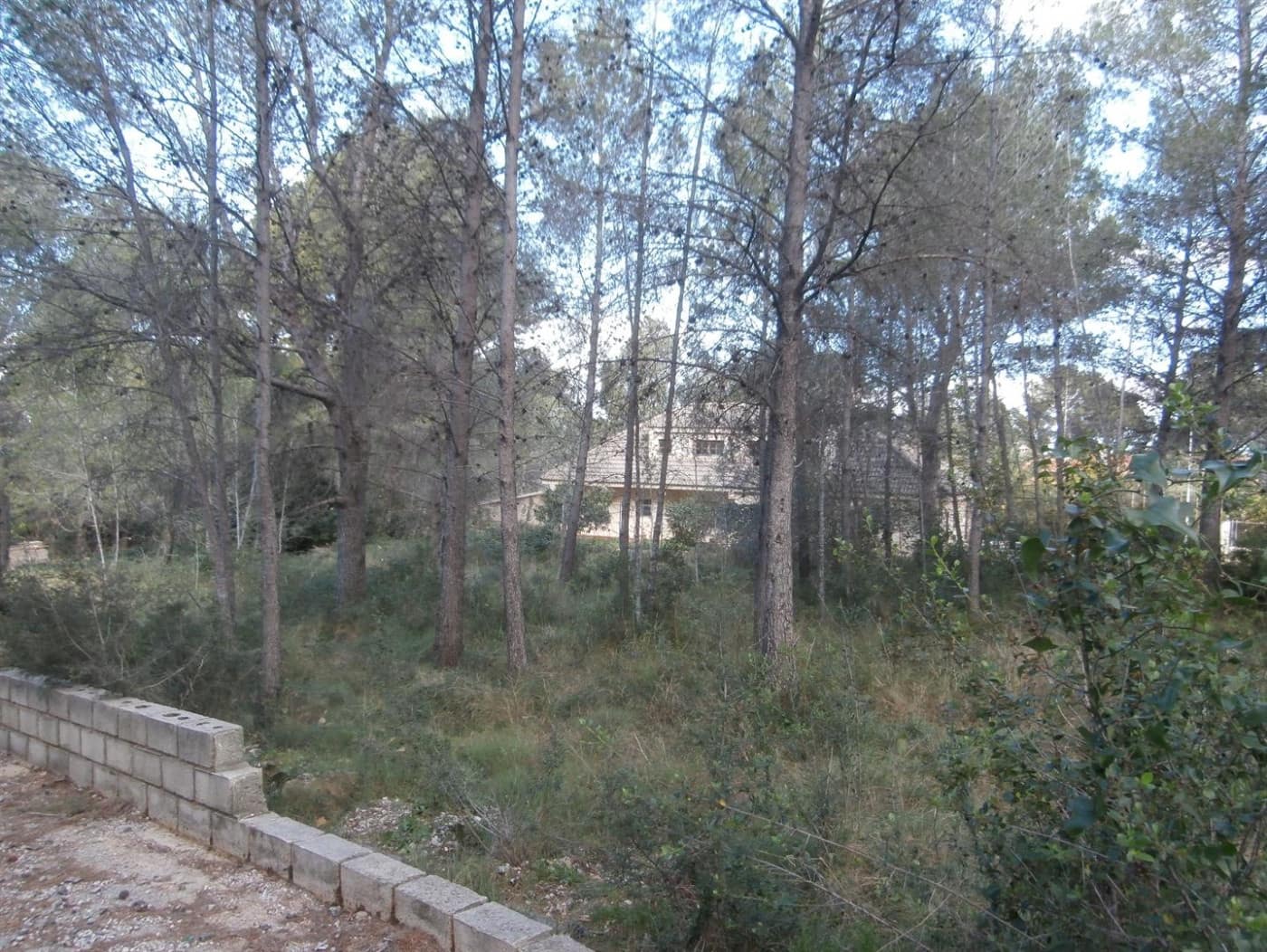 Ubebygd land til salgs i Alzira - € 45 000 (Ref: 6890924)