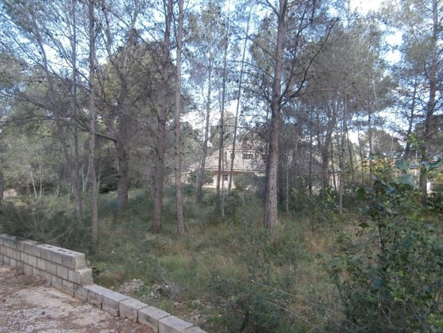 Terreno/Finca Rústica en Alzira en venta - 45.000 € (Ref: 6890924)