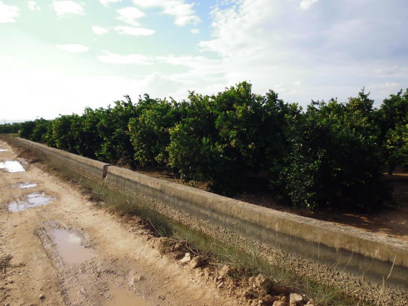 Grunde uden byggetilladelser til salg i Alzira - € 22.000 (Ref: 6890949)