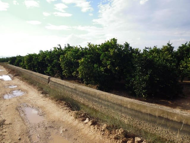 Terreno/Finca Rústica en Alzira en venta - 22.000 € (Ref: 6890949)