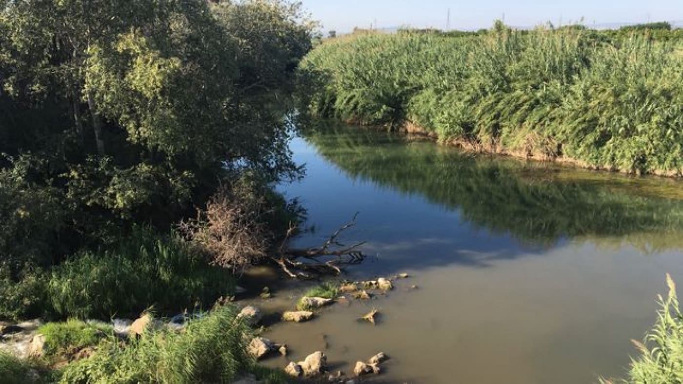 Erhverv til leje i Alzira - € 1.000 (Ref: 6890988)