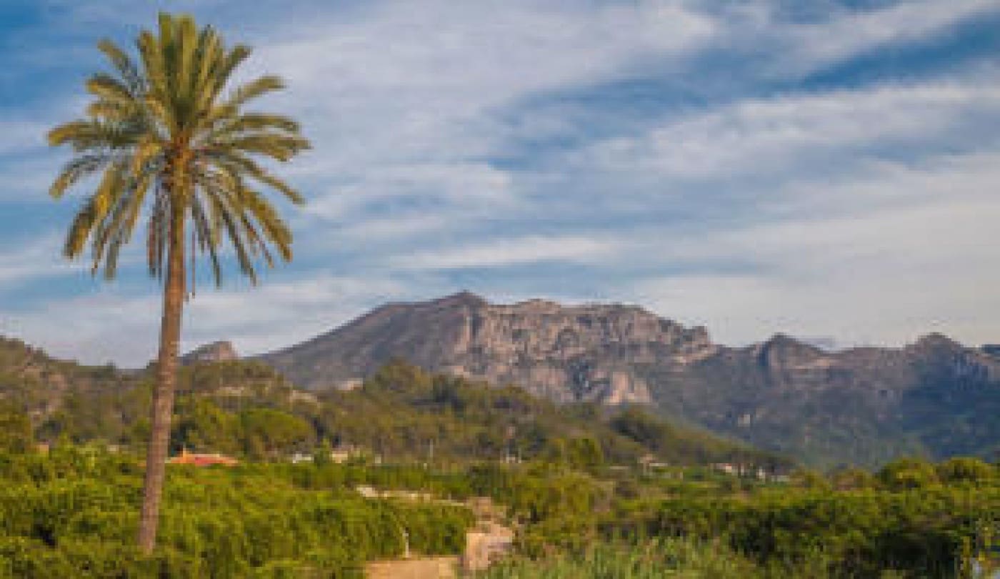 Erhverv til leje i Alzira - € 1.000 (Ref: 6890988)