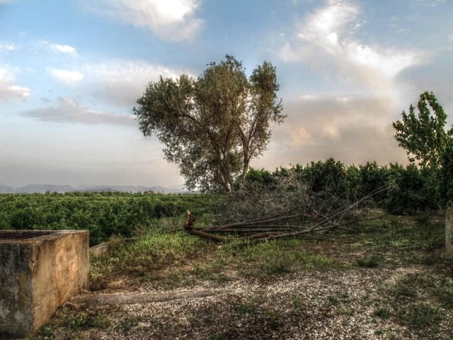 Building Plot for sale in La Pobla Llarga - € 42,000 (Ref: 6891139)