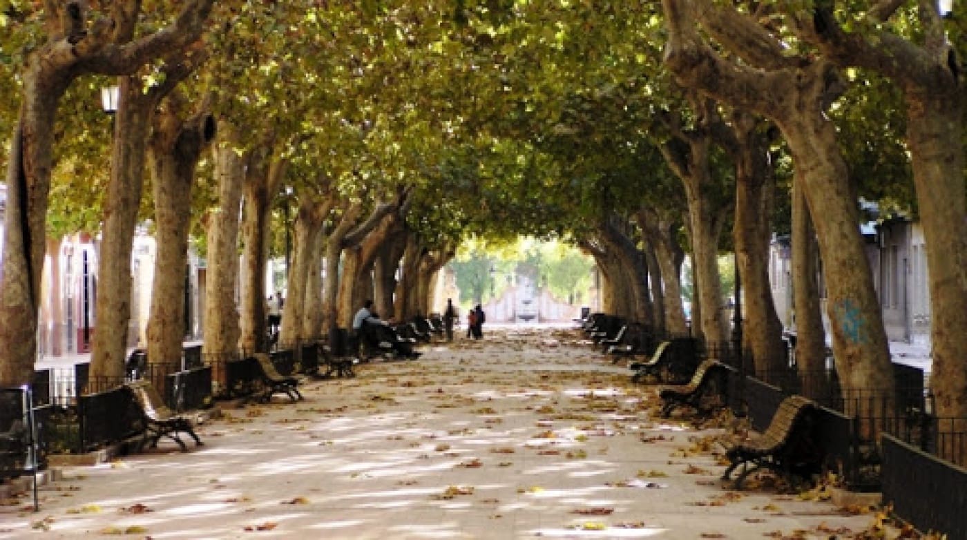 Garage for sale in Carcaixent - € 15,000 (Ref: 6891150)