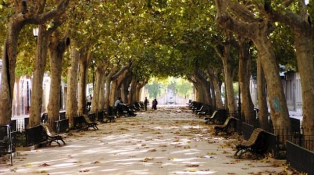 Garage for sale in Carcaixent - € 15,000 (Ref: 6891150)