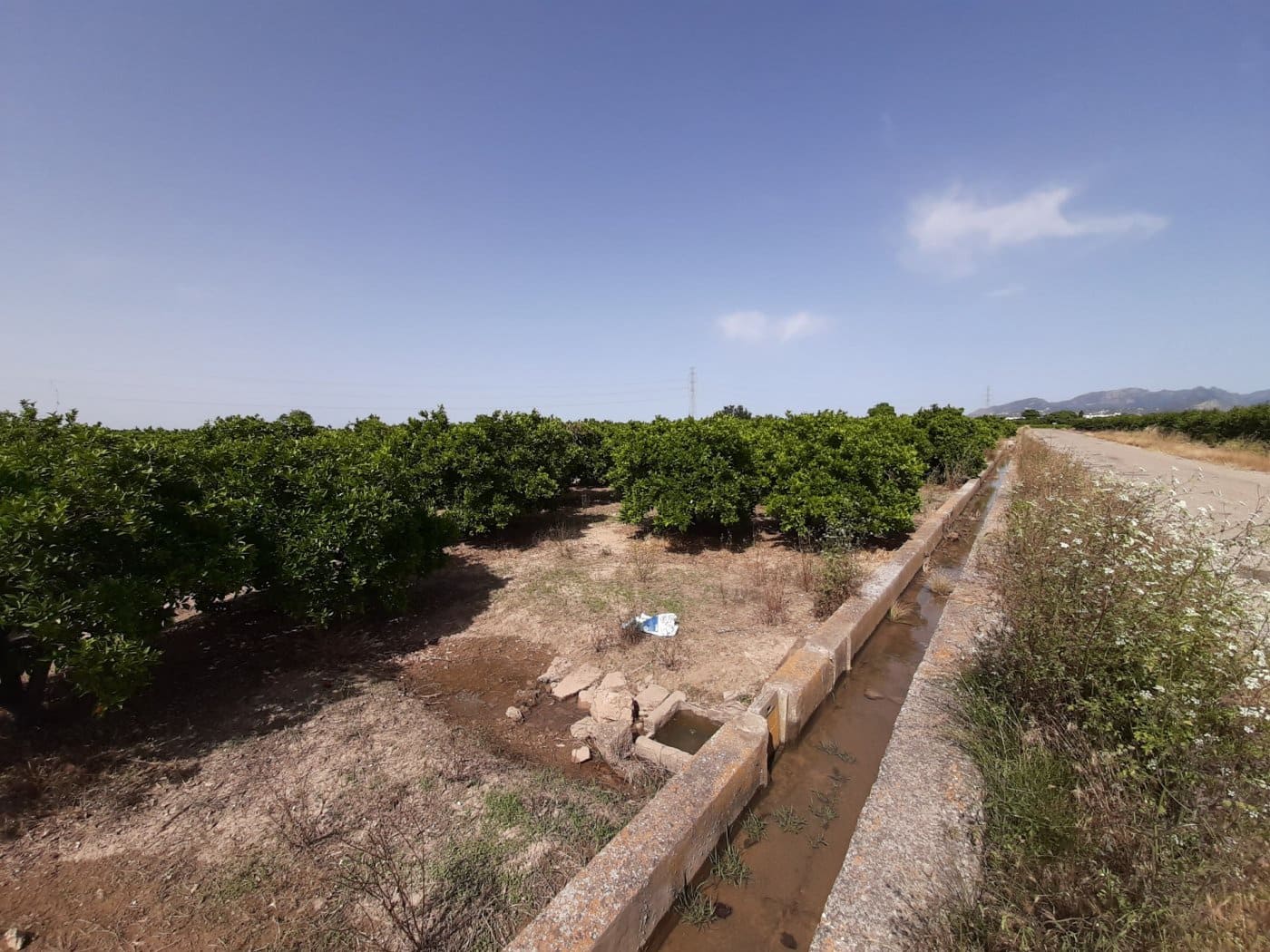 Grunde uden byggetilladelser til salg i Alzira - € 24.000 (Ref: 6984769)