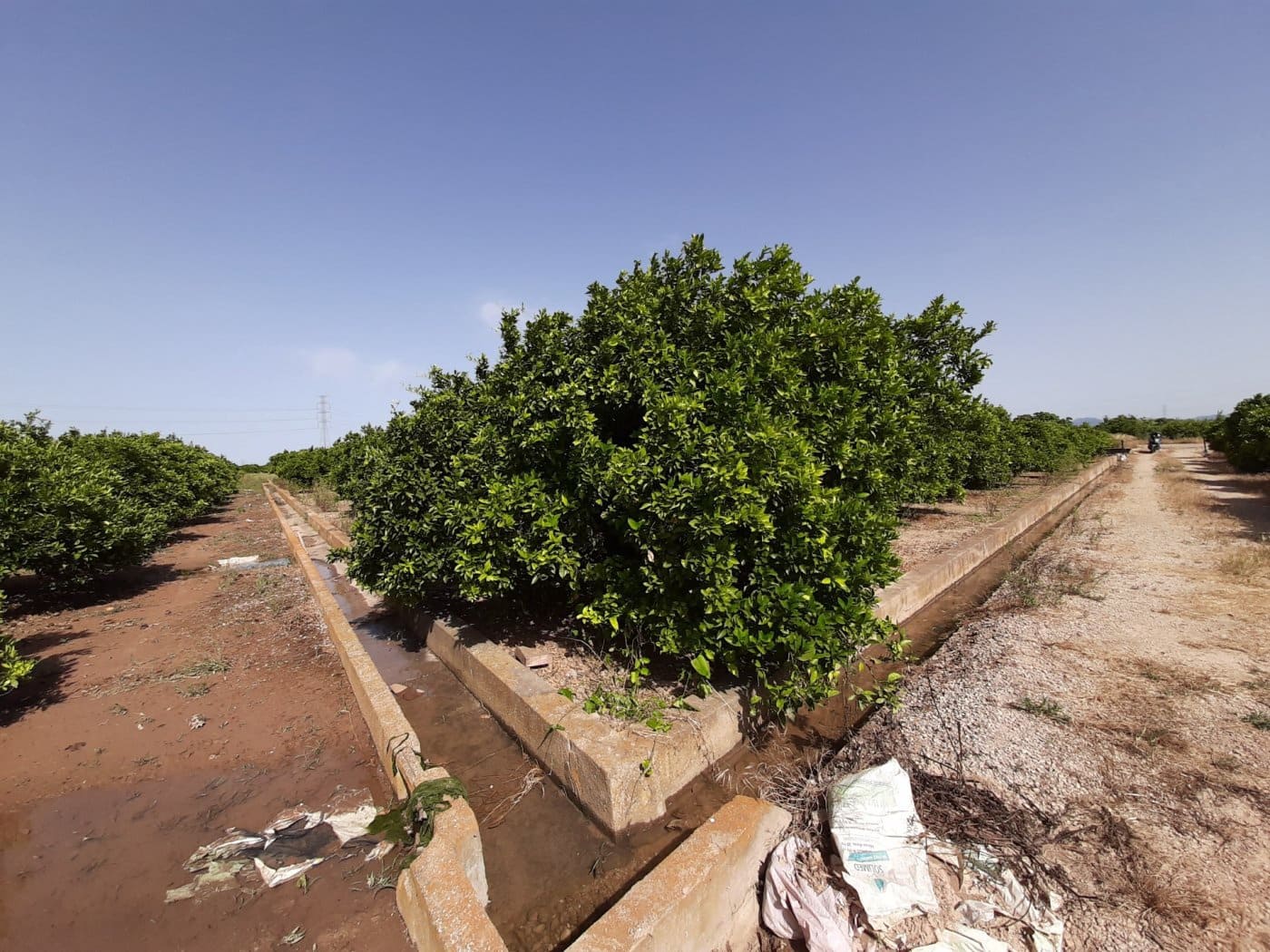 Grunde uden byggetilladelser til salg i Alzira - € 24.000 (Ref: 6984769)