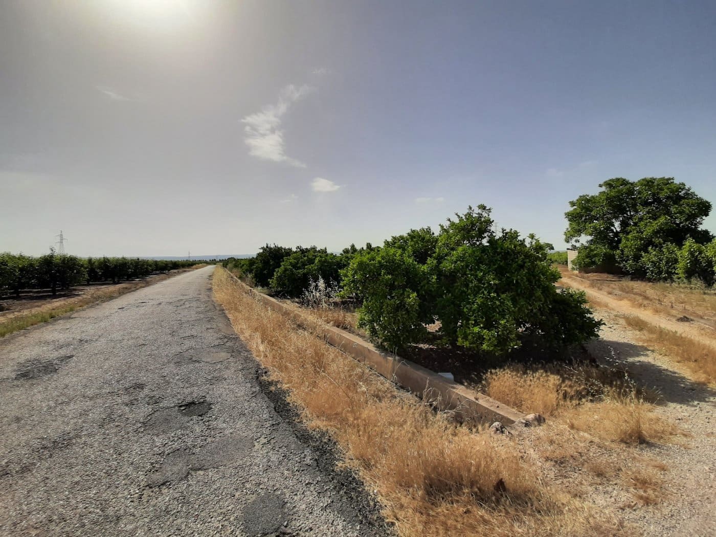 Grunde uden byggetilladelser til salg i Alzira - € 24.000 (Ref: 6984769)