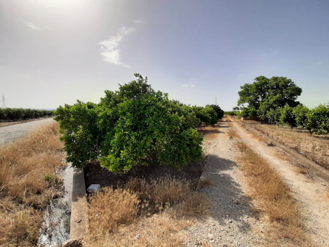 Grunde uden byggetilladelser til salg i Alzira - € 24.000 (Ref: 6984769)