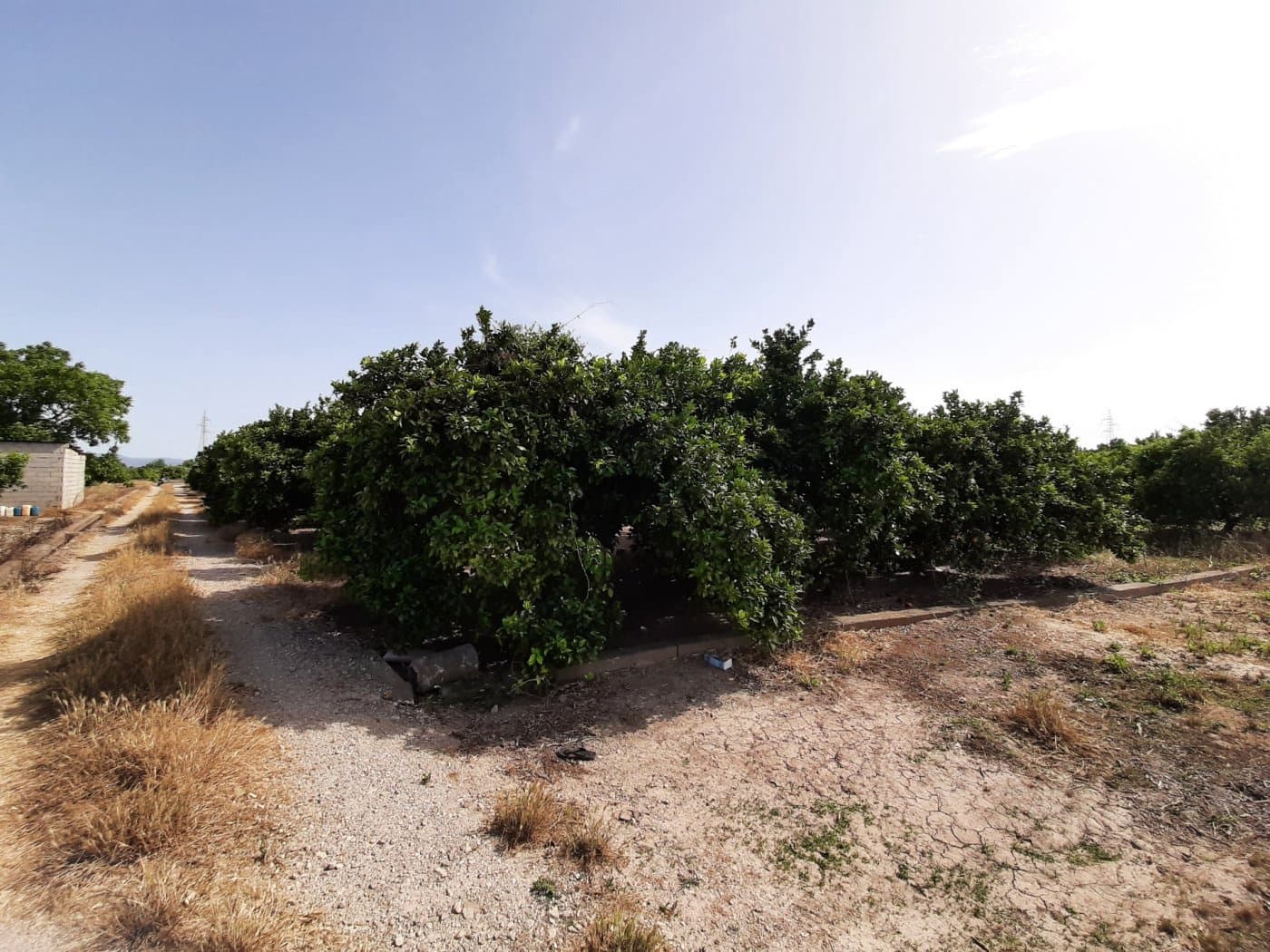 Grunde uden byggetilladelser til salg i Alzira - € 24.000 (Ref: 6984769)