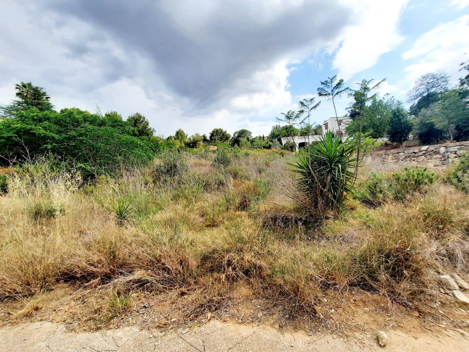 Area Edificabile in vendita in Alberic - 58.000 € (Rif: 7712283)