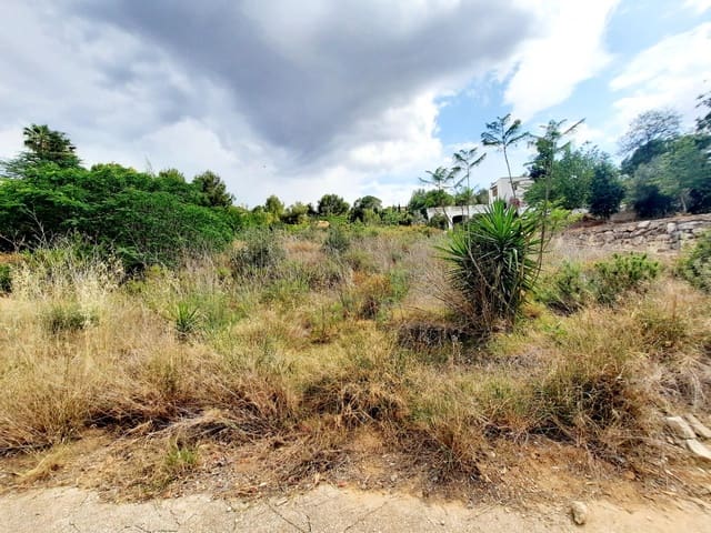 Solar/Parcela en Alberic en venta - 58.000 € (Ref: 7712283)