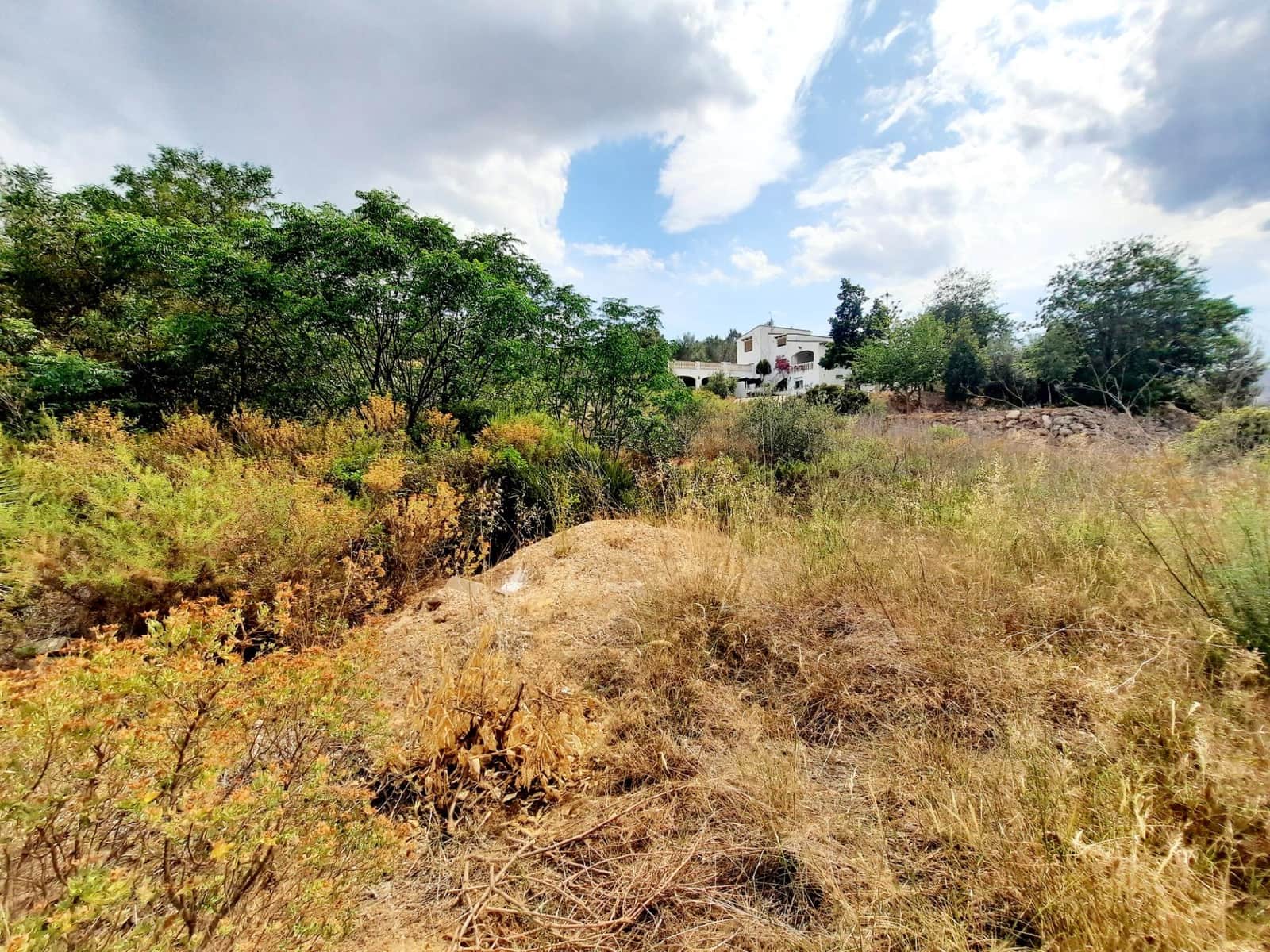 Area Edificabile in vendita in Alberic - 58.000 € (Rif: 7712283)