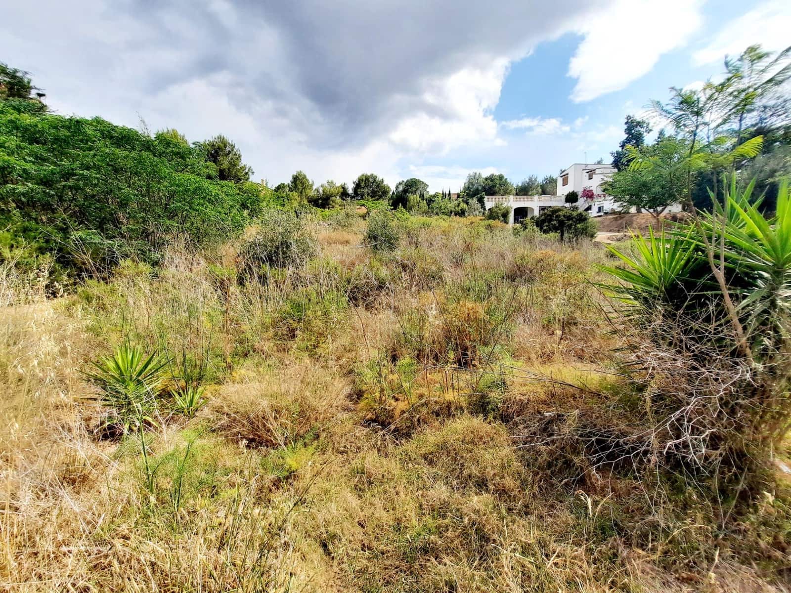 Area Edificabile in vendita in Alberic - 58.000 € (Rif: 7712283)